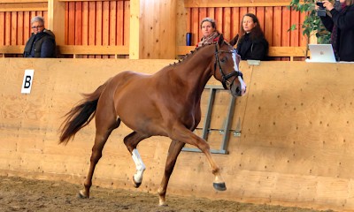 3 v. ruuna Totilaksesta