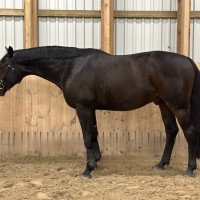 Easton - noor talent tulevikuks