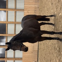 Easton - noor talent tulevikuks